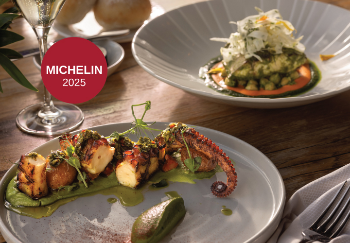 Signature Octopus + Gnocchi Dinner Plates